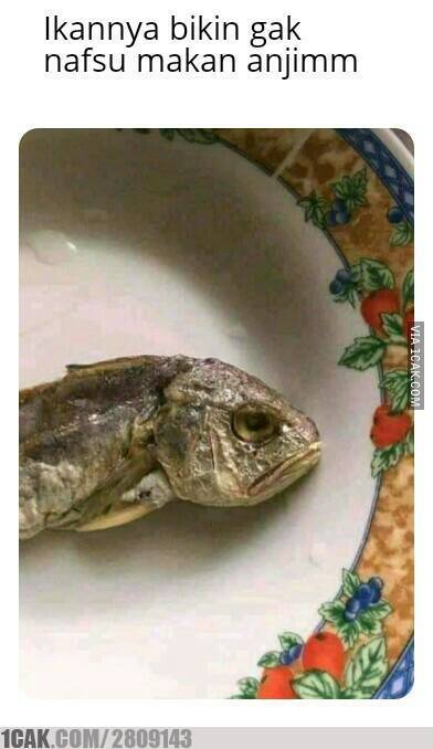 Potret kocak olahan ikan Berbagai sumber Potret kocak olahan ikan Berbagai sumber