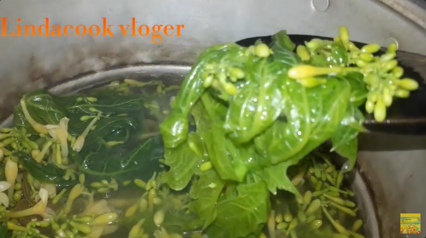 Tak perlu tanah liat atau asam jawa, ini cara merebus daun pepaya agar tidak pahit pakai 1 jenis daun