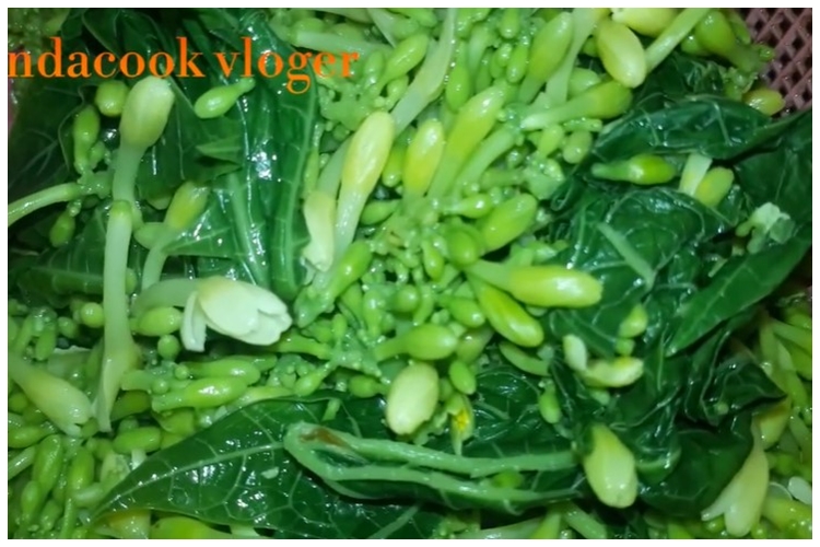 Tak perlu tanah liat atau asam jawa, ini cara merebus daun pepaya agar tidak pahit pakai 1 jenis daun