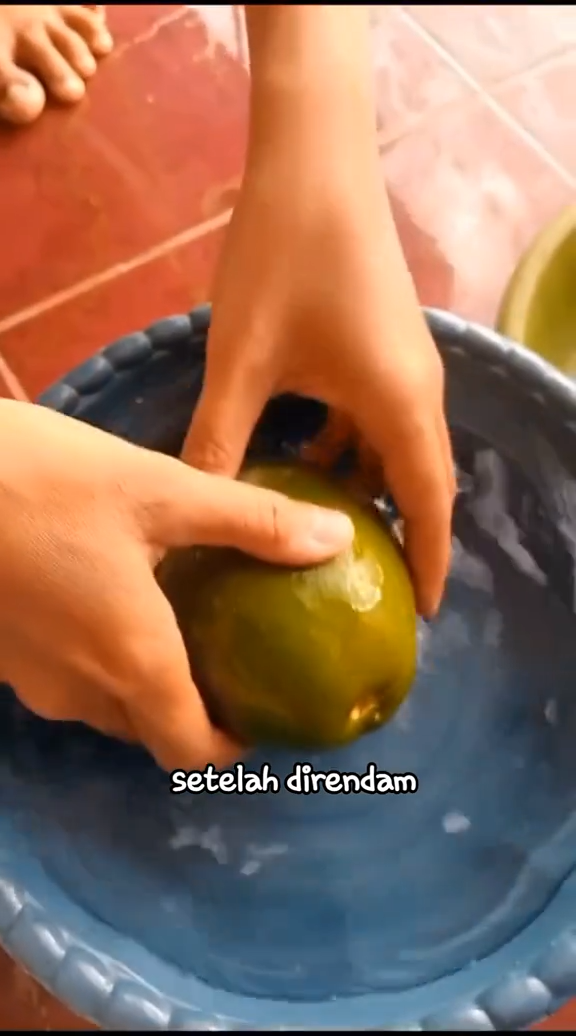 Bukan diperam beras atau ditusuk lidi, ini cara ampuh mematangkan alpukat dalam 2 hari