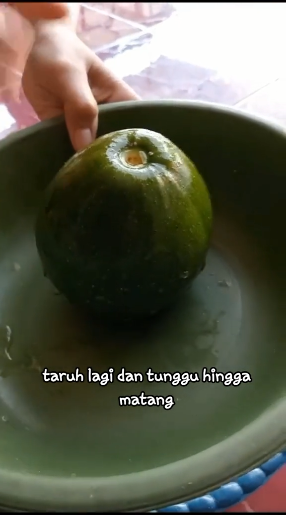 Bukan diperam beras atau ditusuk lidi, ini cara ampuh mematangkan alpukat dalam 2 hari