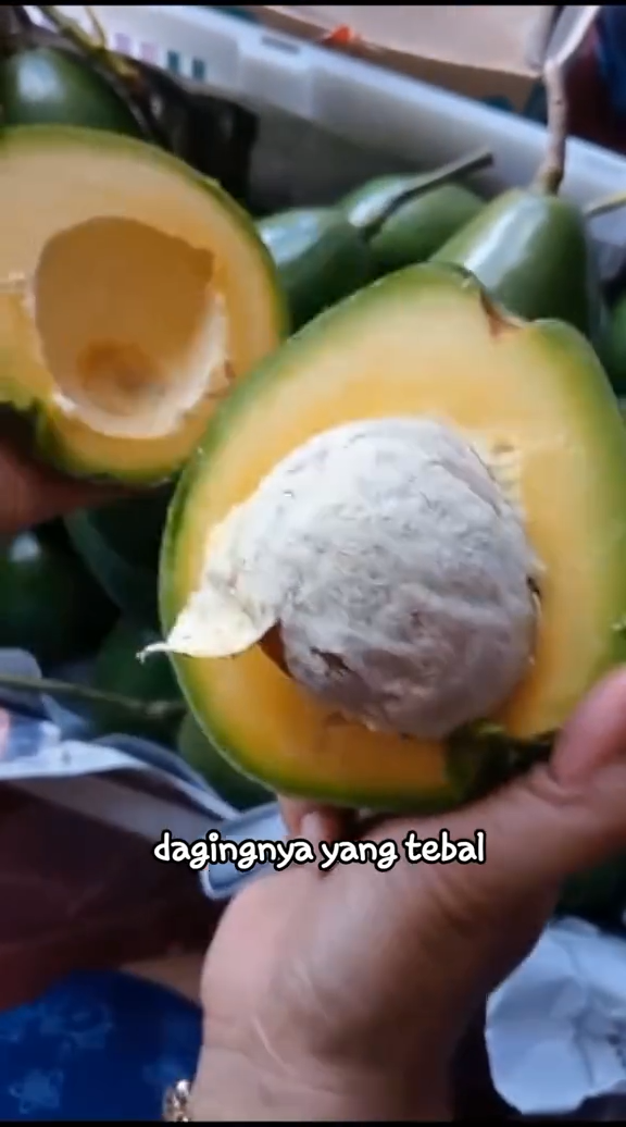 Bukan diperam beras atau ditusuk lidi, ini cara ampuh mematangkan alpukat dalam 2 hari