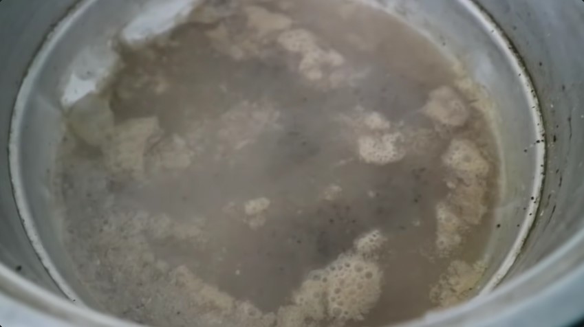 Tanpa garam atau air beras, ini trik basmi hama bakteri pada tanaman cabai cukup pakai 1 ampas buah