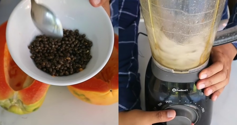 Tanpa garam atau air beras, ini trik basmi hama bakteri pada tanaman cabai cukup pakai 1 ampas buah