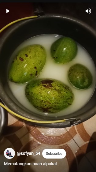 Bukan ditusuk pakai lidi atau diperam, ini trik mematangkan buah alpukat hanya dengan 1 ampas dapur
