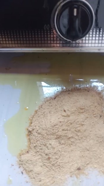 Tanpa tisu, ini trik bersihkan tumpahan minyak di keramik dapur pakai 1 bahan sederhana