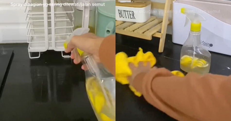 Tanpa minyak goreng atau cuka, ini cara mengusir semut di dapur cuma pakai 1 jenis buah