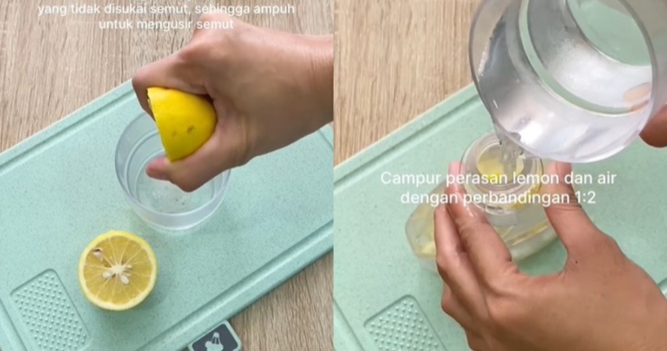 Tanpa minyak goreng atau cuka, ini cara mengusir semut di dapur cuma pakai 1 jenis buah