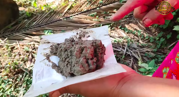 Tak perlu asam jawa, ini trik merebus daun pepaya agar warnanya tetap hijau dan tidak pahit