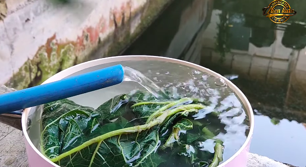 Tak perlu asam jawa, ini trik merebus daun pepaya agar warnanya tetap hijau dan tidak pahit