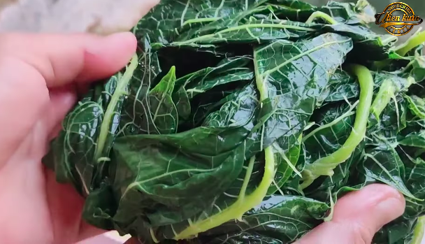 Tak perlu asam jawa, ini trik merebus daun pepaya agar warnanya tetap hijau dan tidak pahit