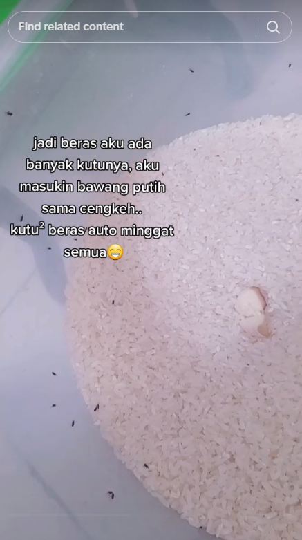 Bukan pakai rempah daun, ini cara ampuh mengusir kutu di beras dengan 2 bahan dapur