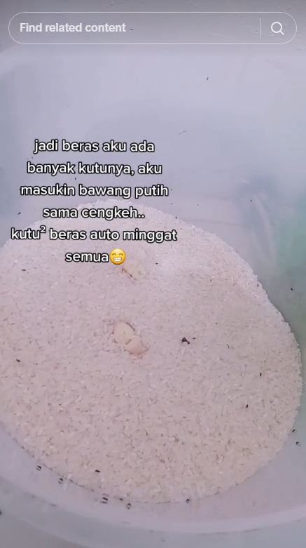 Bukan pakai rempah daun, ini cara ampuh mengusir kutu di beras dengan 2 bahan dapur