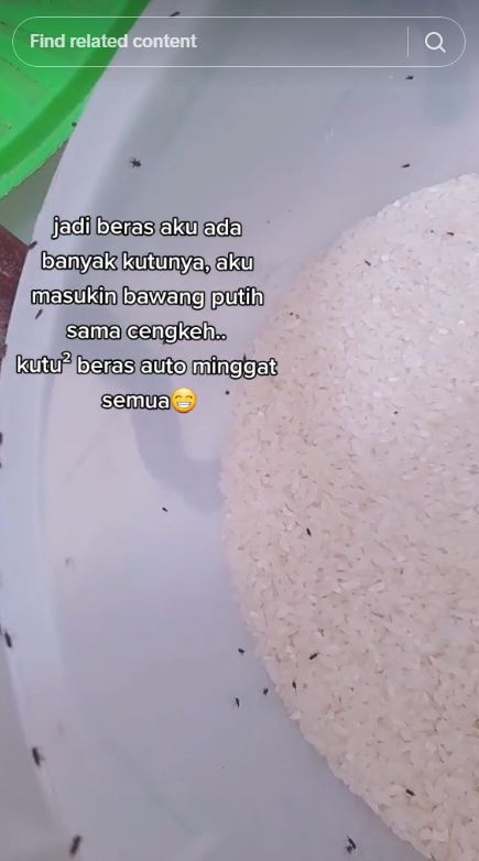 Bukan pakai rempah daun, ini cara ampuh mengusir kutu di beras dengan 2 bahan dapur