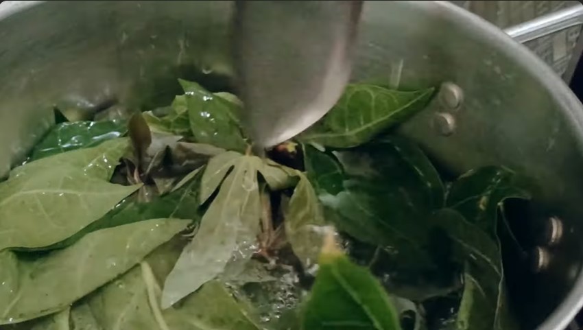 Tanpa garam atau asam jawa, ini trik merebus daun pepaya agar tak pahit cukup tambah 1 jenis daun