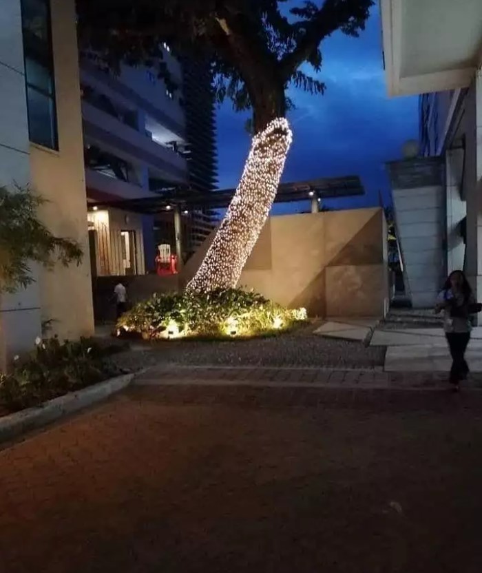 Potret penampakan benda di pohon Berbagai sumber Potret penampakan benda di pohon Berbagai sumber