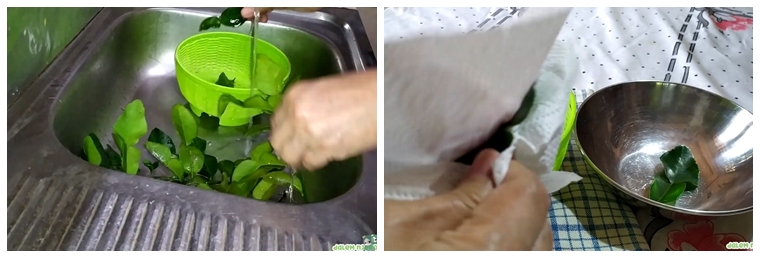 Tanpa kulkas, ini trik menyimpan daun jeruk agar tetap hijau dan aromanya sedap hingga 2 bulan