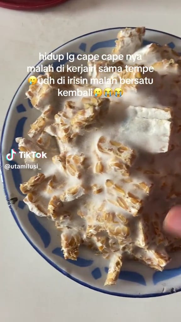Cewek capek potong tempe © TikTok
