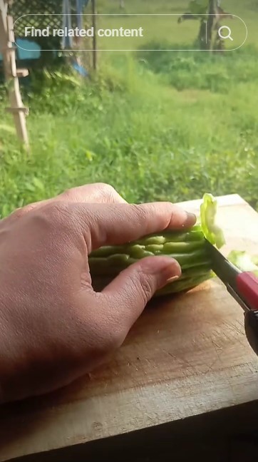 Tanpa asam jawa atau tanah lempung, ini trik hilangkan rasa pahit pare cukup pakai 2 bumbu sederhana