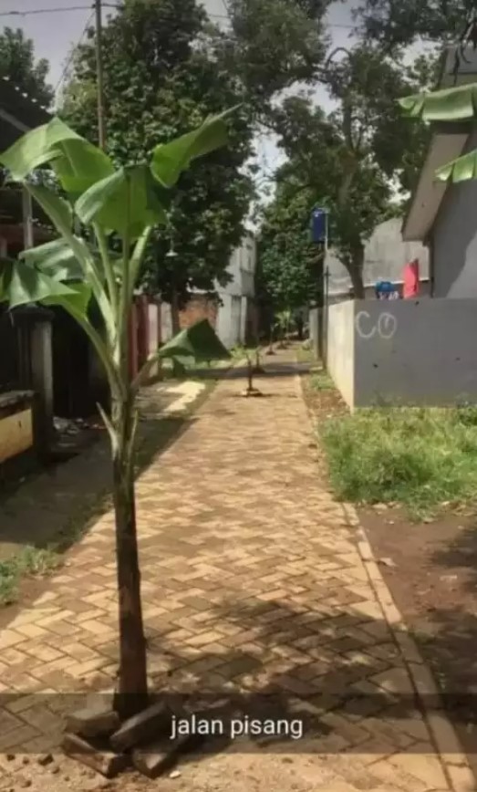 Benda tak pada tempatnya bikin nggak habis pikir Berbagai sumber