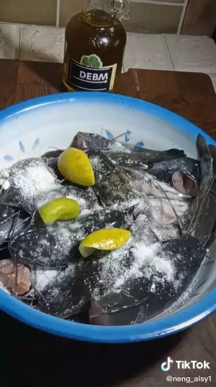Tanpa kapur sirih, ini cara ampuh hilangkan lendir ikan lele cuma pakai 2 bahan dapur