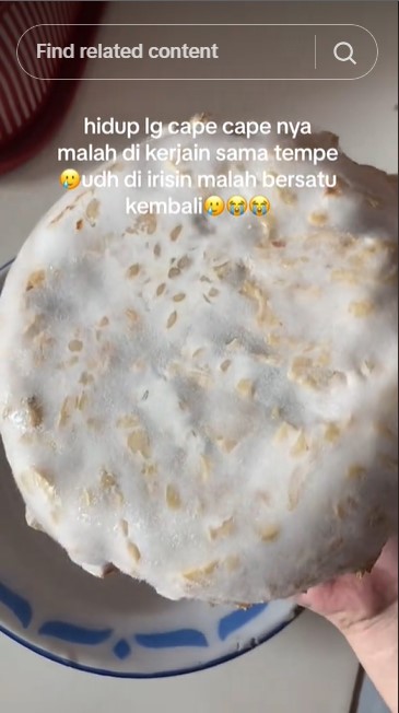 Viral tempe sudah dipotong balik utuh, begini cara menyimpan irisan tempe agar tak menyatu kembali