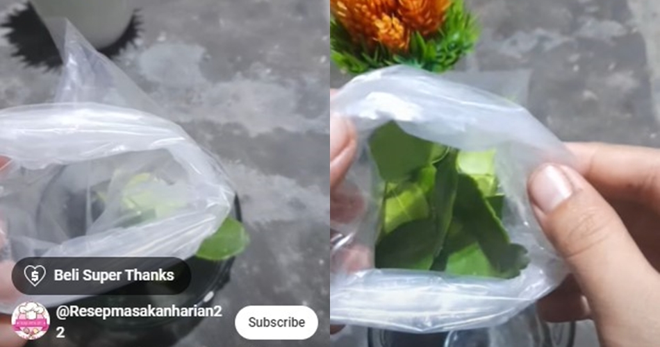 Tanpa dijemur atau ditaruh di kulkas, ini trik simpan daun jeruk tetap hijau dan segar hingga 1 minggu