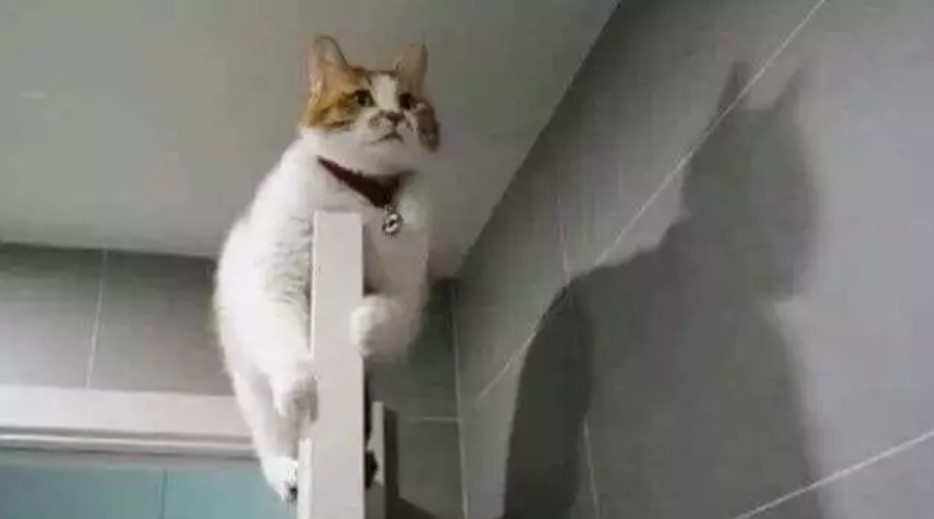 Bayangan beda dari aslinya Berbagai sumber