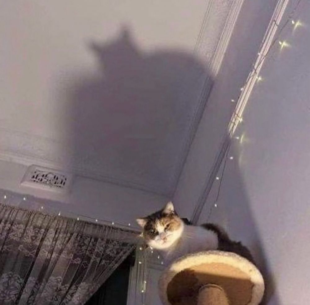 Bayangan beda dari aslinya Berbagai sumber