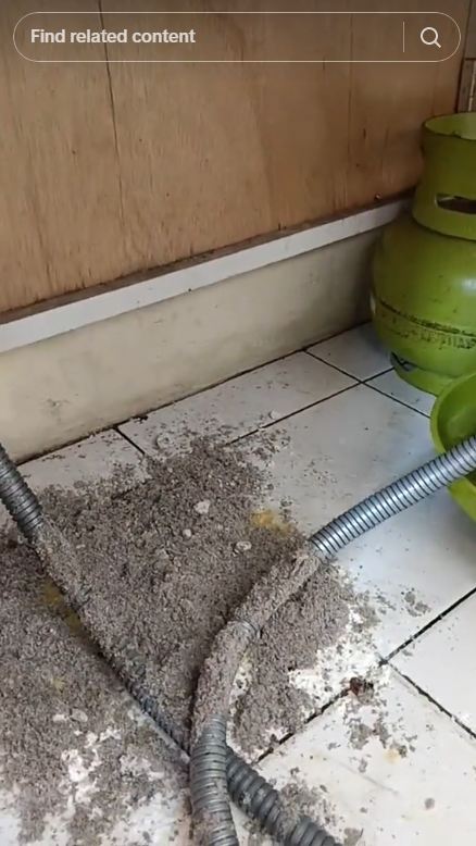 Bukan pakai tepung atau baking soda, begini cara bersihkan tumpahan minyak di lantai agar tak berbekas