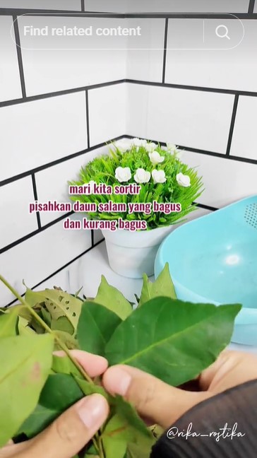 Tak perlu dijemur dulu, ini cara menyimpan daun salam tak menghitam dan tetap wangi hingga 2 minggu