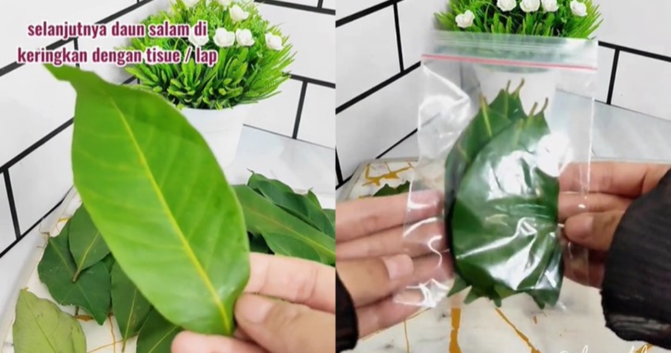 Tak perlu dijemur dulu, ini cara menyimpan daun salam tak menghitam dan tetap wangi hingga 2 minggu