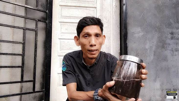 Bukan sabun cuci piring, ini trik mengusir hama ulat pada tanaman sawi cuma pakai 1 jenis ampas dapur