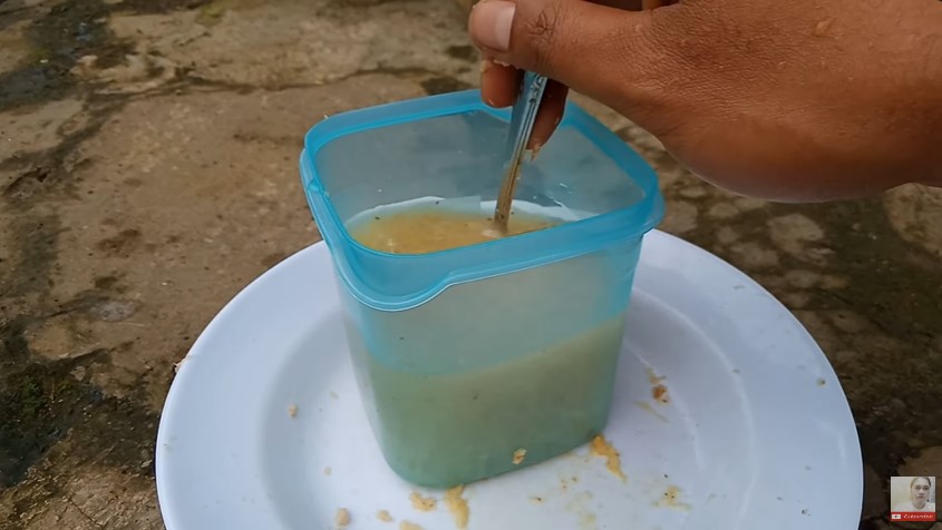 Bukan bawang, ini trik bikin semprotan pembasmi hama bakteri & jamur di pohon cabai dari 1 bumbu dapur