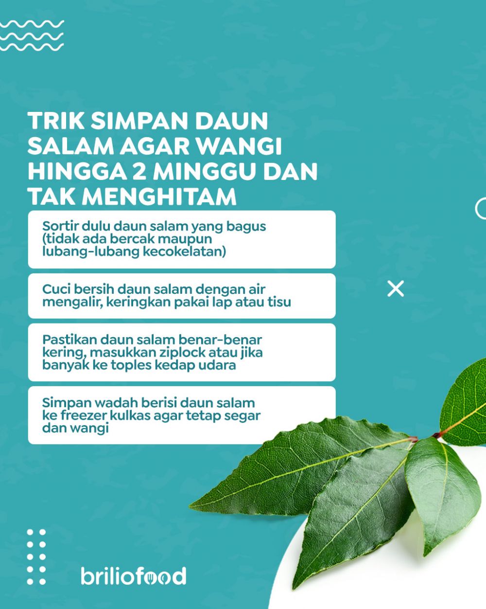 Tak perlu dijemur dulu, ini cara menyimpan daun salam tak menghitam dan tetap wangi hingga 2 minggu