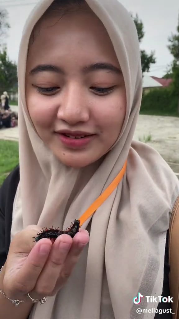 Aksi gadis bersahabat dengan ulat © TikTok