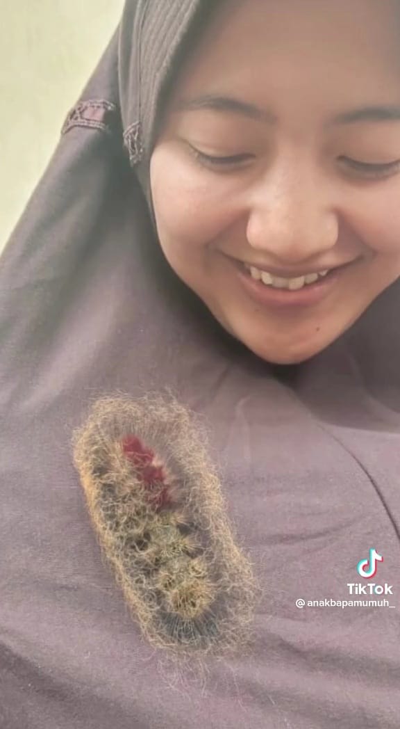 Aksi gadis bersahabat dengan ulat © TikTok