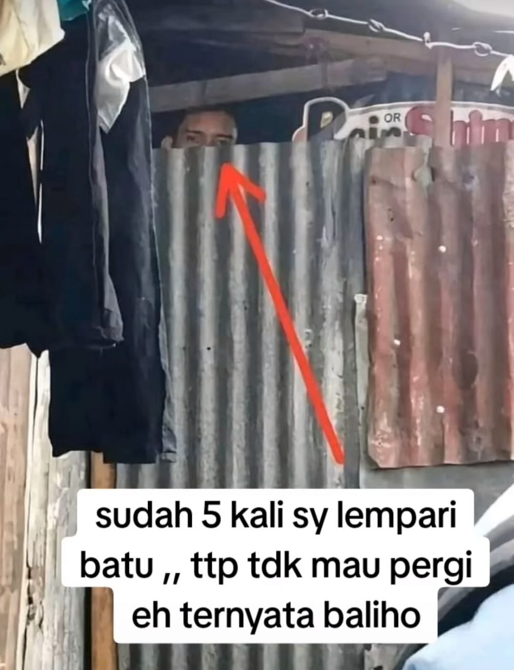 spanduk menipu mata berbagai sumber