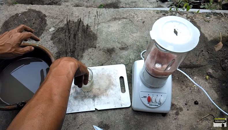 Trik merawat tanaman tomat yang layu agar bisa berbuah lebat cuma pakai 2 bahan dapur