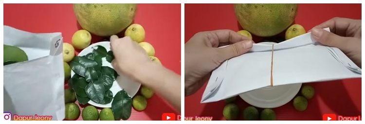 Bukan dijemur atau dimasukkan freezer, begini cara simpan daun jeruk agar tak kering hingga 3 minggu