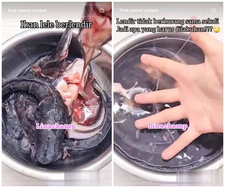 Tak perlu kapur sirih atau air jeruk nipis, ini trik bersihkan lendir ikan lele pakai 1 bahan dapur