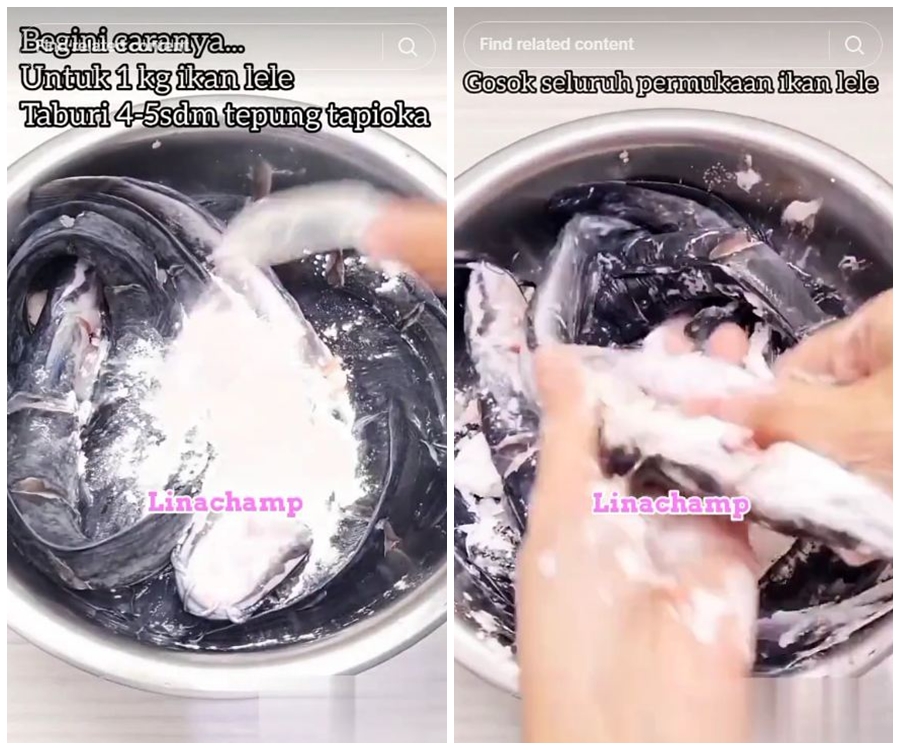 Tak perlu kapur sirih atau air jeruk nipis, ini trik bersihkan lendir ikan lele pakai 1 bahan dapur