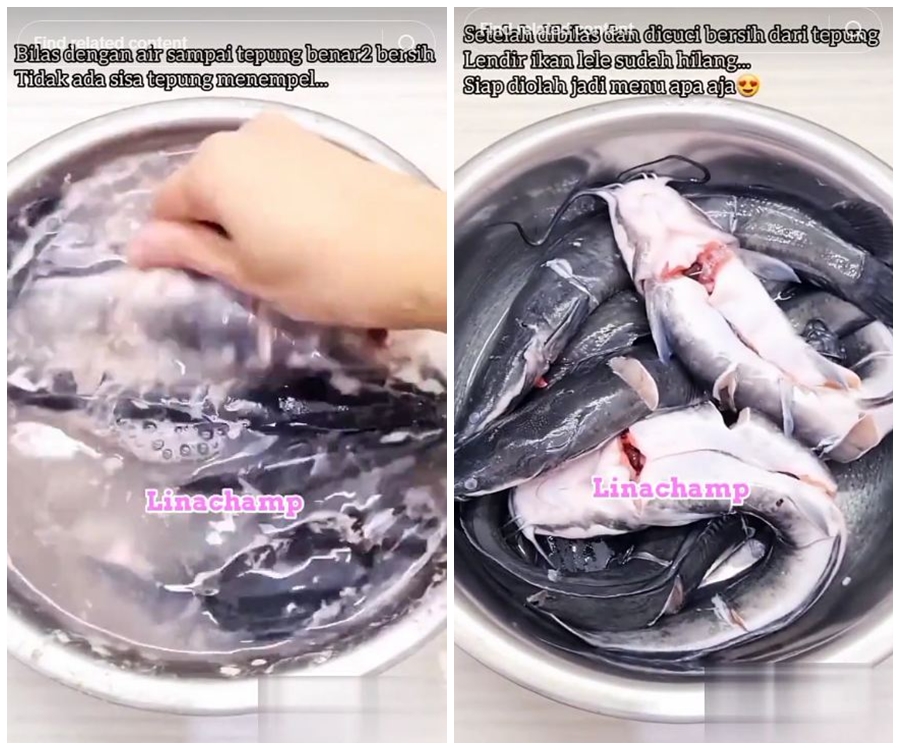 Tak perlu kapur sirih atau air jeruk nipis, ini trik bersihkan lendir ikan lele pakai 1 bahan dapur