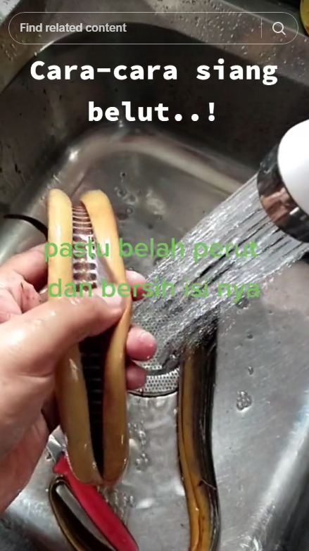 Tak perlu diremas belimbing wuluh, ini trik ampuh menghilangkan lendir pada belut pakai 1 bahan dapur