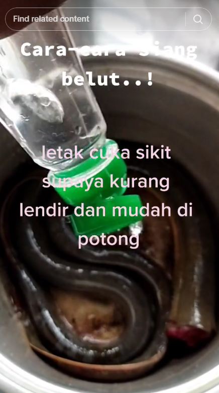 Tak perlu diremas belimbing wuluh, ini trik ampuh menghilangkan lendir pada belut pakai 1 bahan dapur