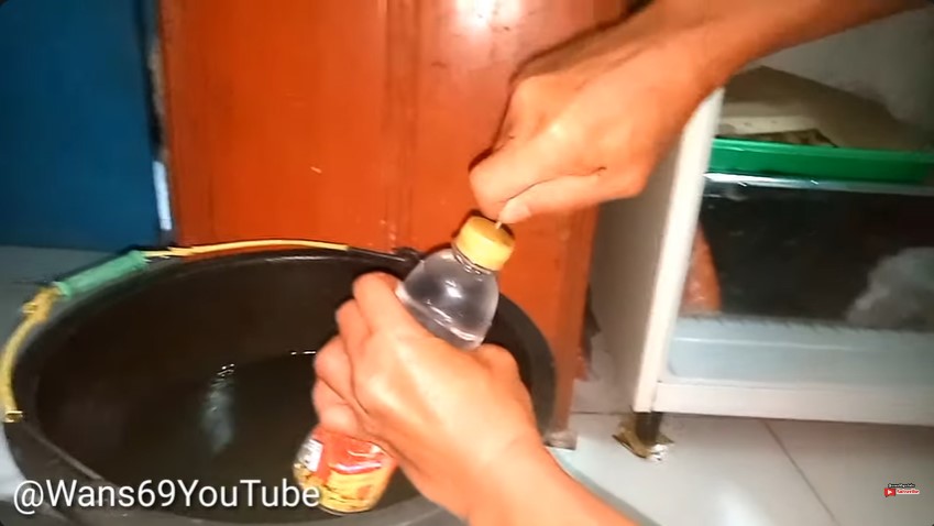 Bukan kipas angin atau hair dryer, ini trik bersihkan bunga es freezer pakai 1 alat dari ampas dapur