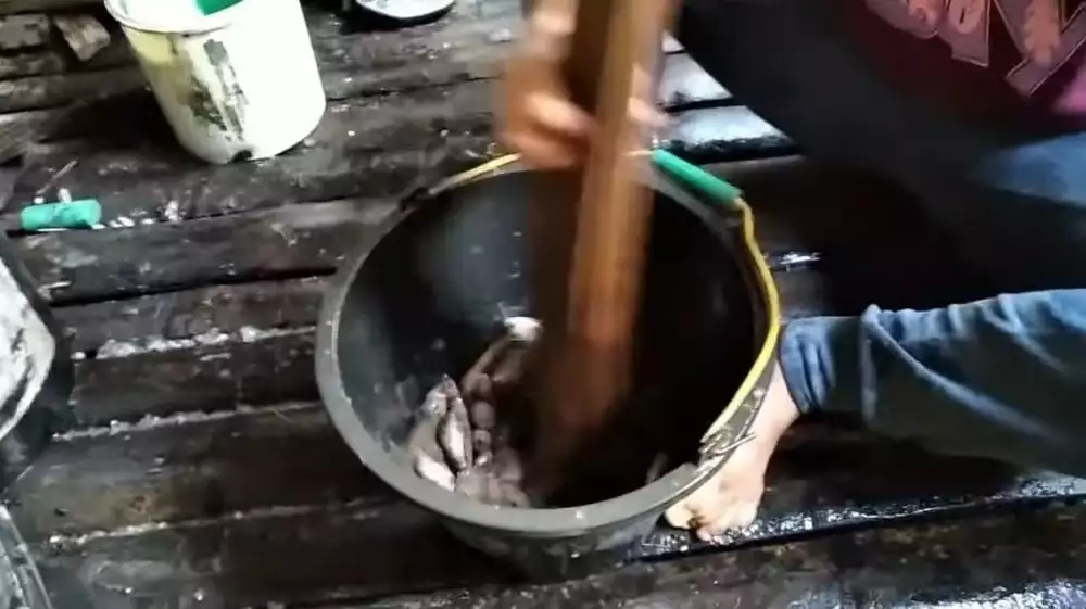 Lebih cepat tanpa pisau, ini cara membersihkan sisik ikan dalam jumlah banyak cuma butuh 2 menit