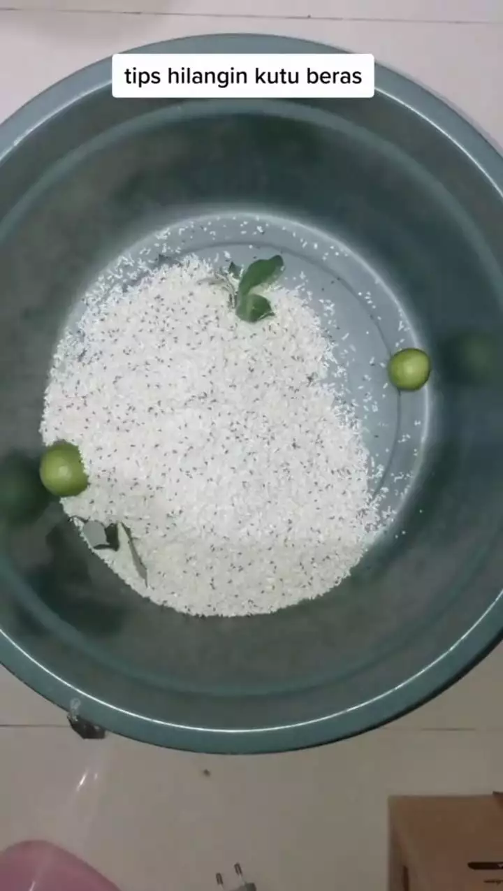 Cukup pakai 2 bahan, ini cara cepat mengusir kutu pada beras agar bisa digunakan lagi
