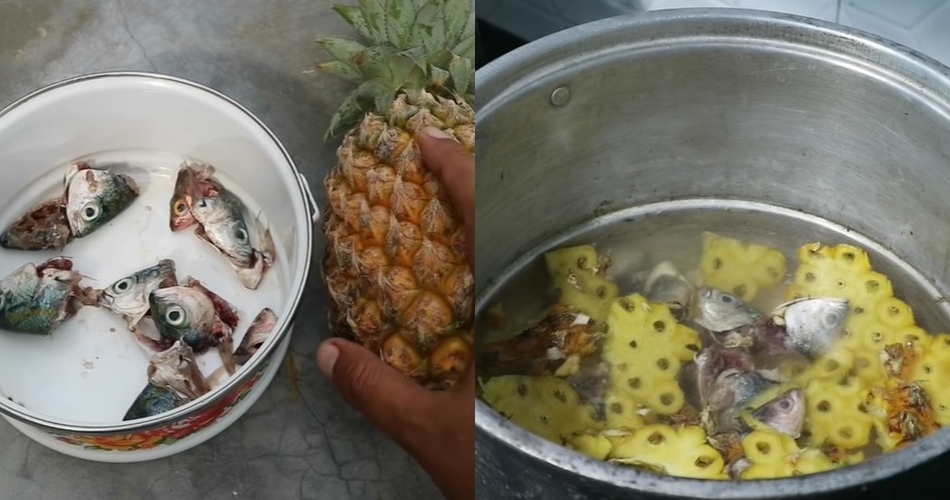 Tanpa garam atau micin, ini trik menyuburkan tanaman bawang merah agar tak busuk pakai 2 ampas dapur