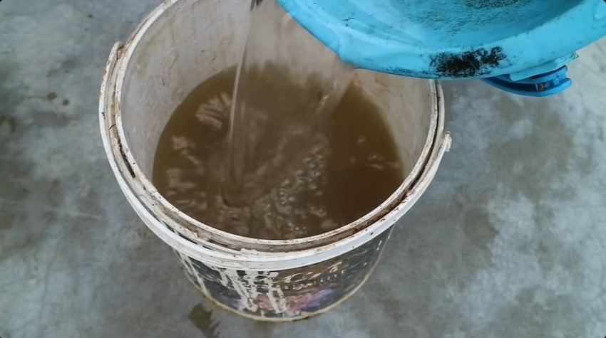 Tanpa garam atau micin, ini trik menyuburkan tanaman bawang merah agar tak busuk pakai 2 ampas dapur